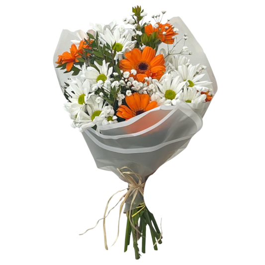 Renkli Papatya Bahçesi