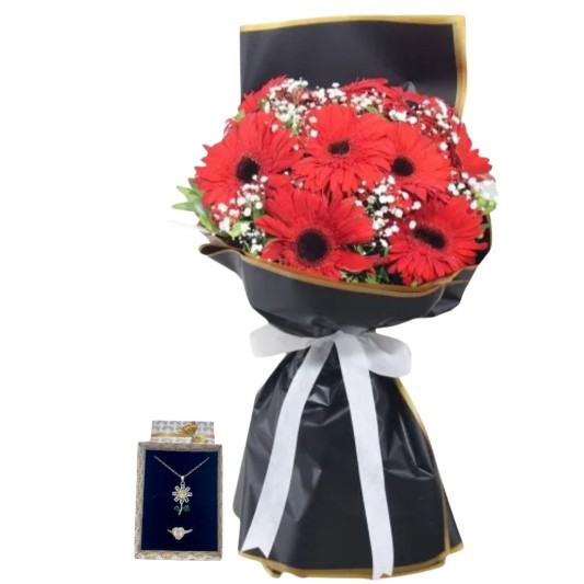 Işıltılı Gerberanın Asaleti 