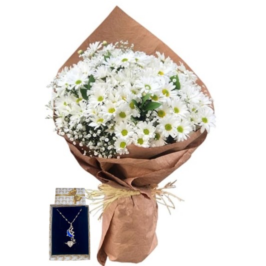 Papatyanın Beyaz Melodisi