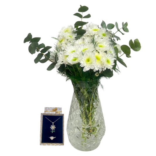 Beyaz Papatyalı Kasımpatı