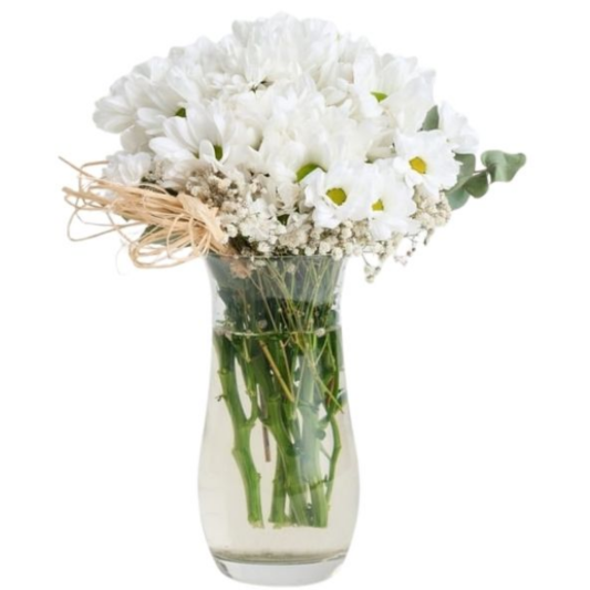 Papatyaların Büyüsü 