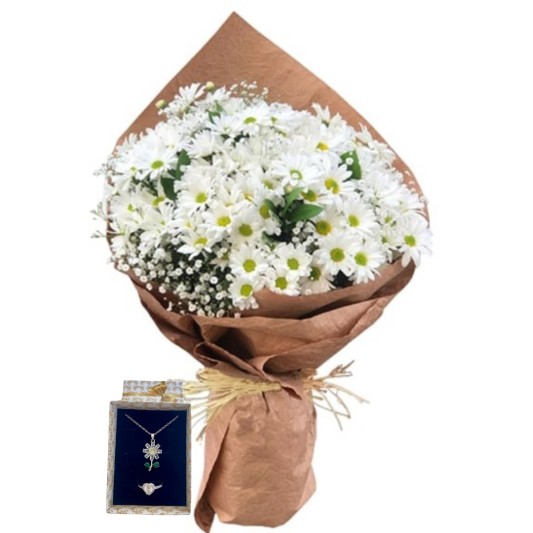 Beyaz Papatya Dünyası 