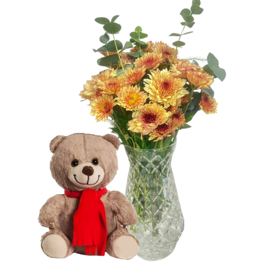 Ayıcığın Kremrengi Kasımpatısı