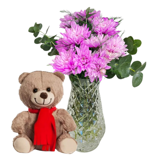 Mutlu Ayıcığın Kasımpatısı