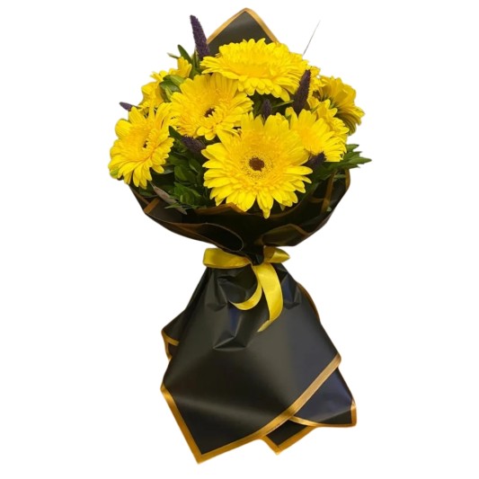 Aşk Baharı Gerberalar