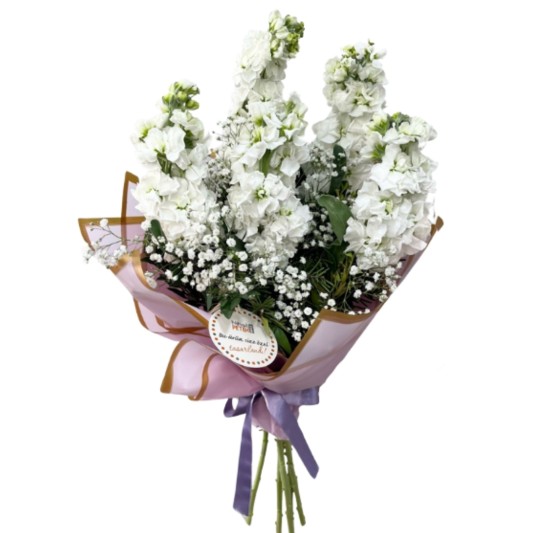 Beyaz Şebboy Buketi