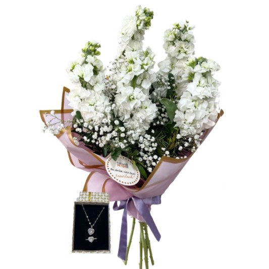 Beyaz Şebboy Esintisi