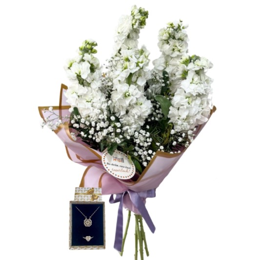 Şebboy Şansı Yonca 