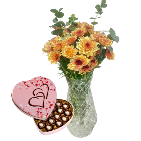 Kalpli Kutunun Etkisi 