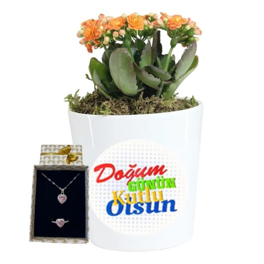 Doğum Günü Zarafeti