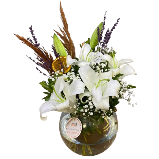 Akvaryum Vazoda Lilyum