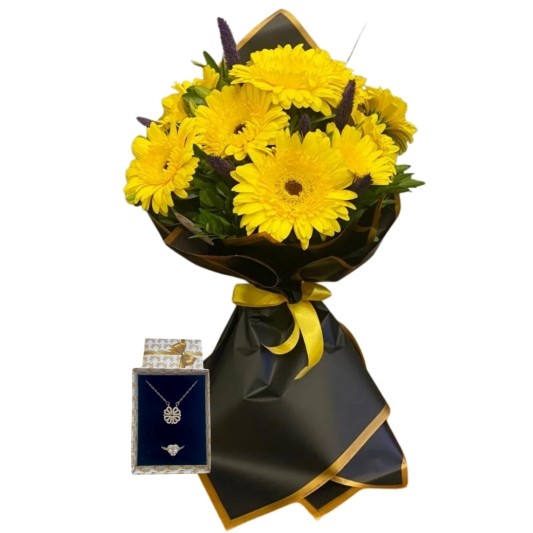 Gerberanın Tatlı Işığı 