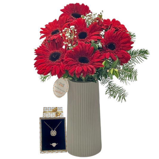 Asil Kırmızının Şansı