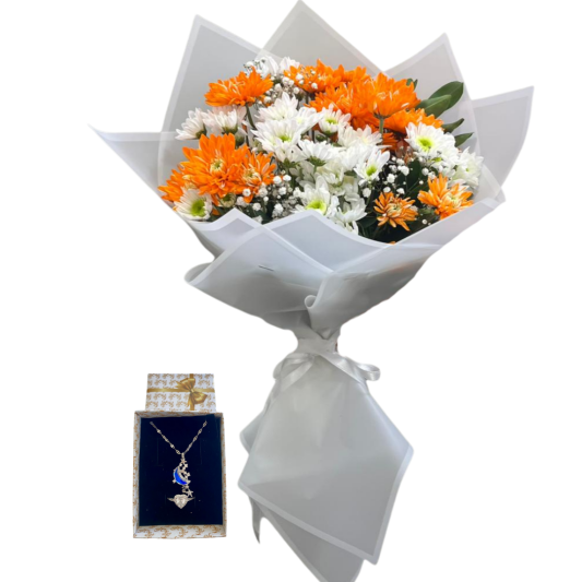 Kasımpatı Işığın Dansı