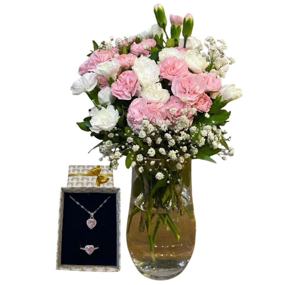 Renki Karanfiller Dünyası