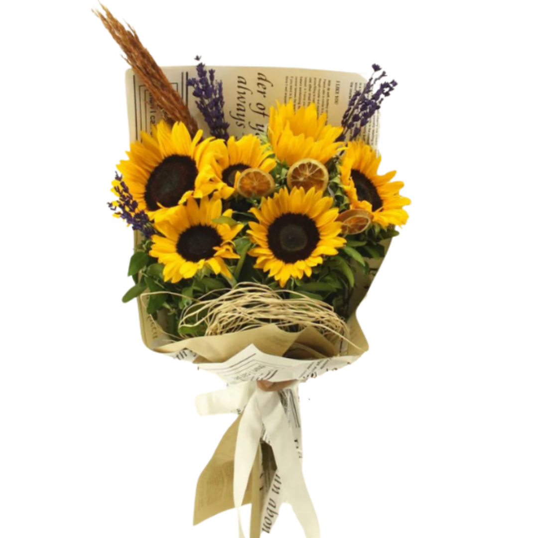 Ay Çiçeğinin Meleği