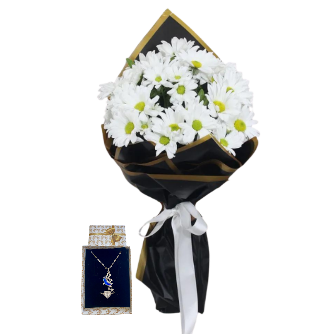 Papatyanın Gece Işıltısı