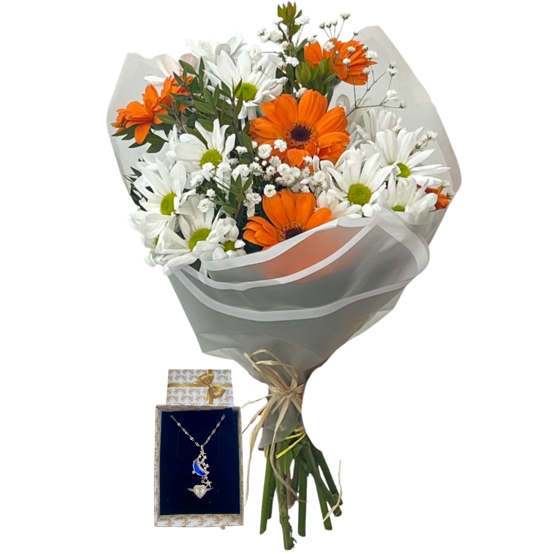 Kızıl Gökyüzünün Işığı