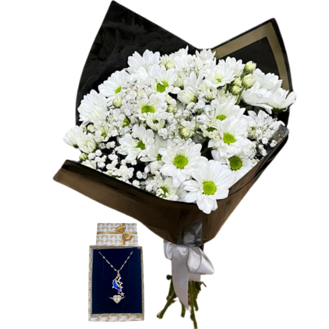 Papatyanın Gece Işığı