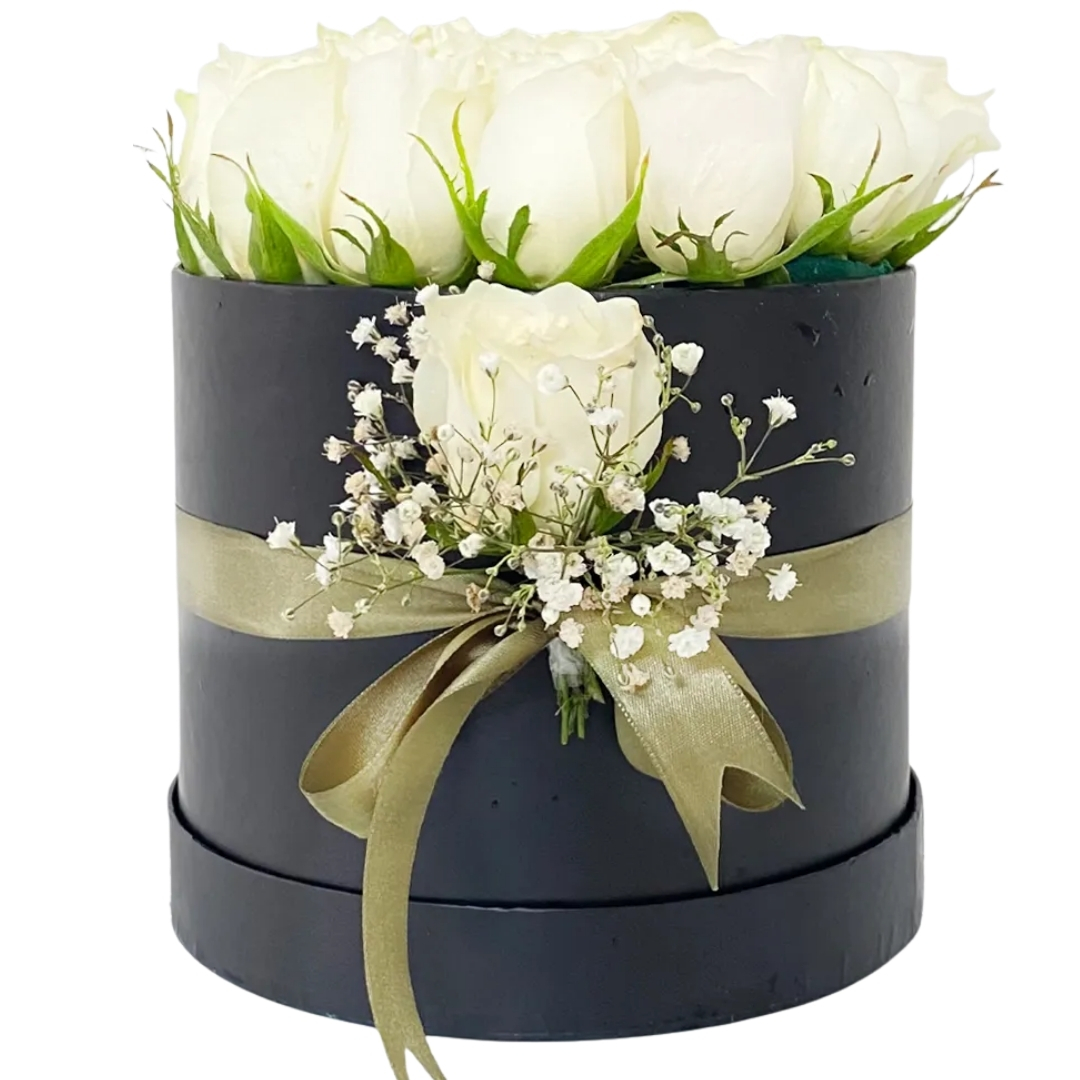 Beyaz Zarafet Kutusu