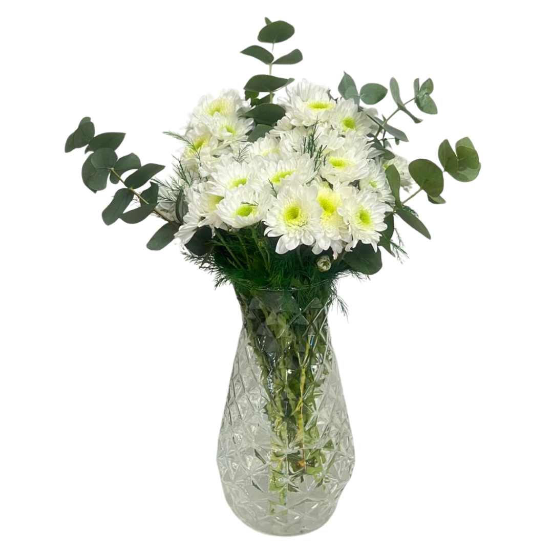 Işıltılı Kasımpatı Dünyası