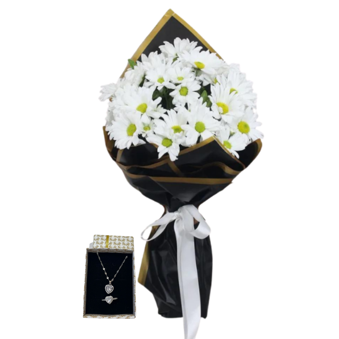 Beyaz Düşler Papatya