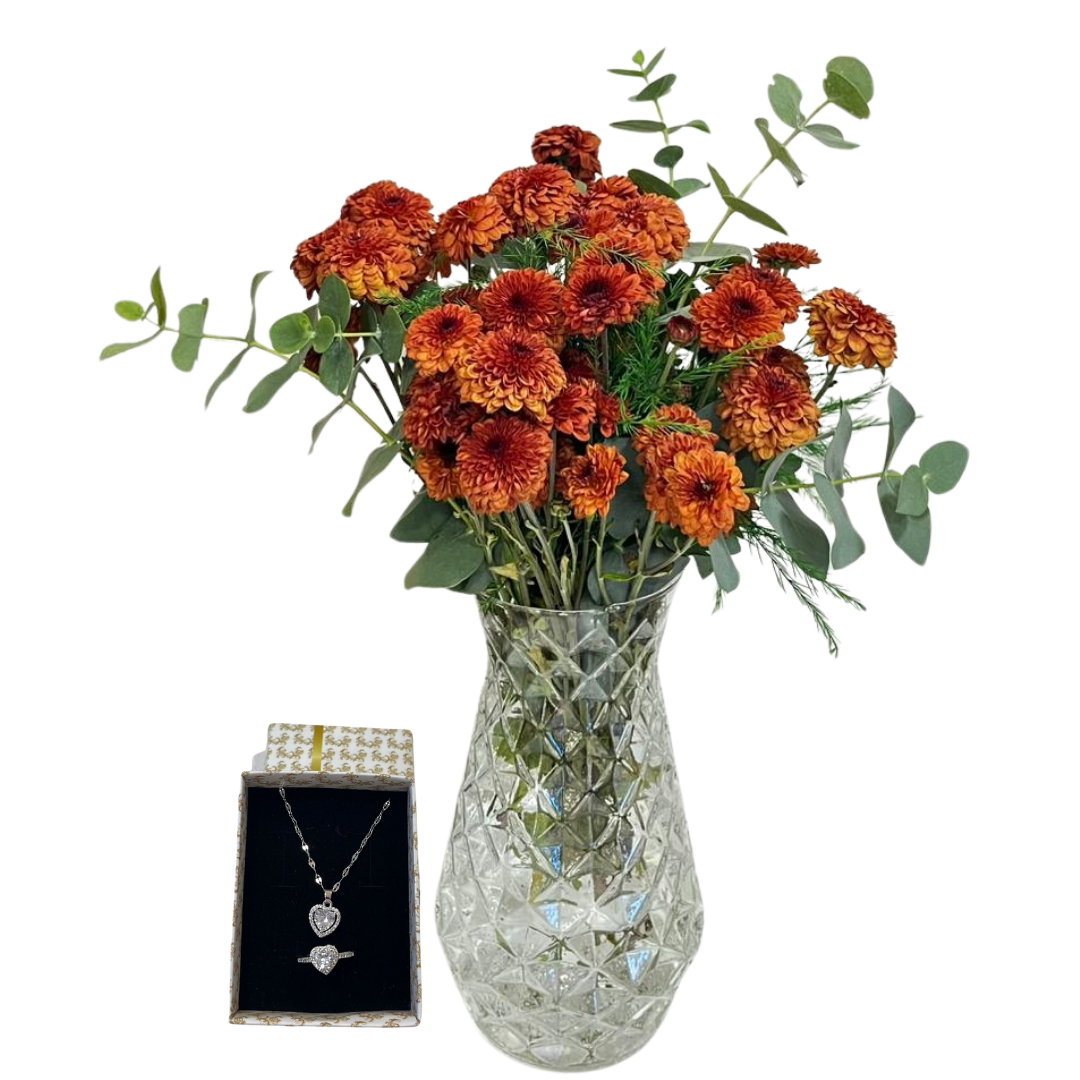 Topraktan Gelen Işık 