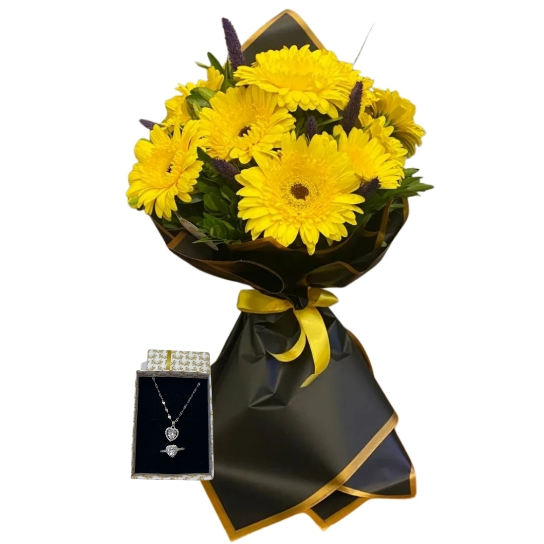 Güneş Işığı Enerjisi