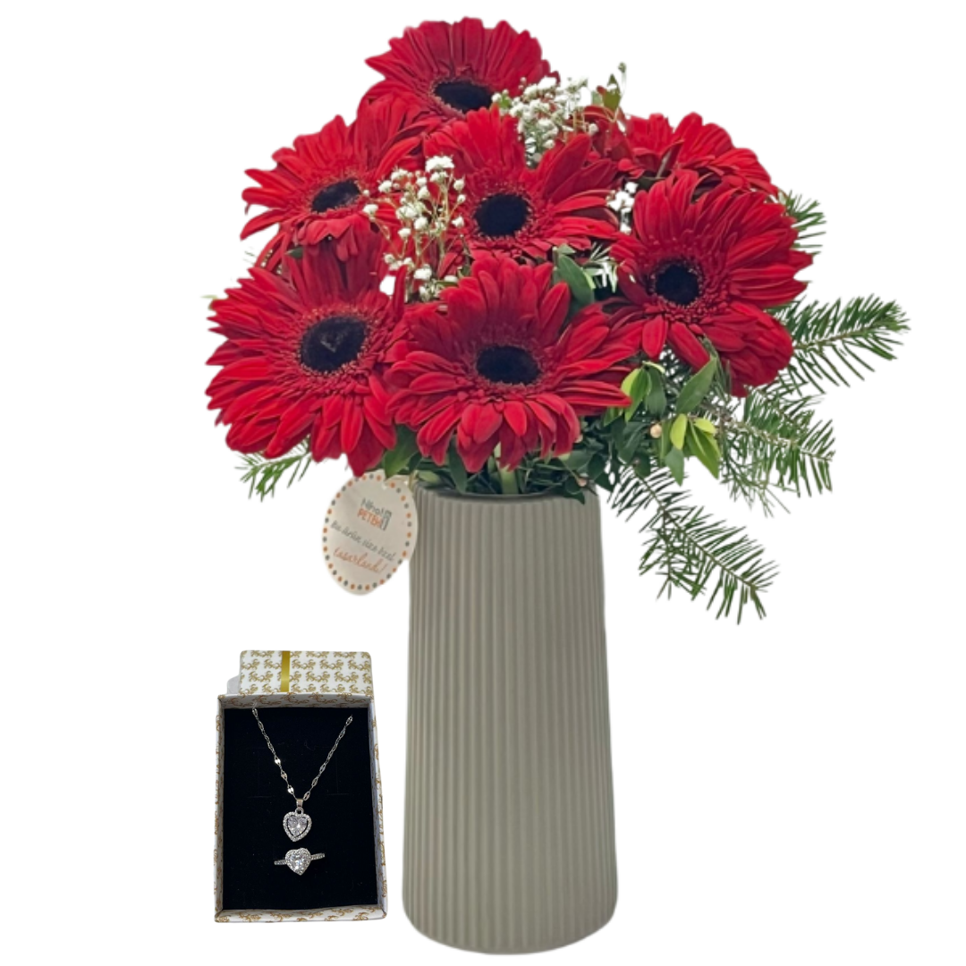 Gerberedan Kırmızı Duruş 