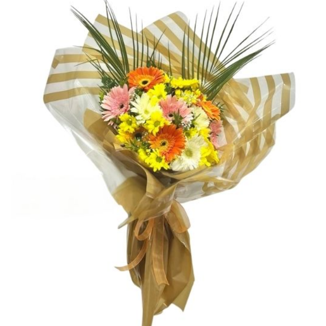 Ahenk Işıltısı Gerberalar