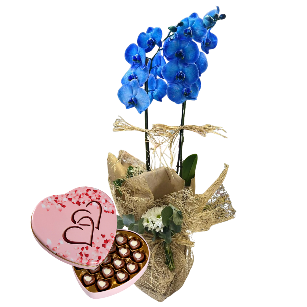 Kalpten Tatlı Orkide