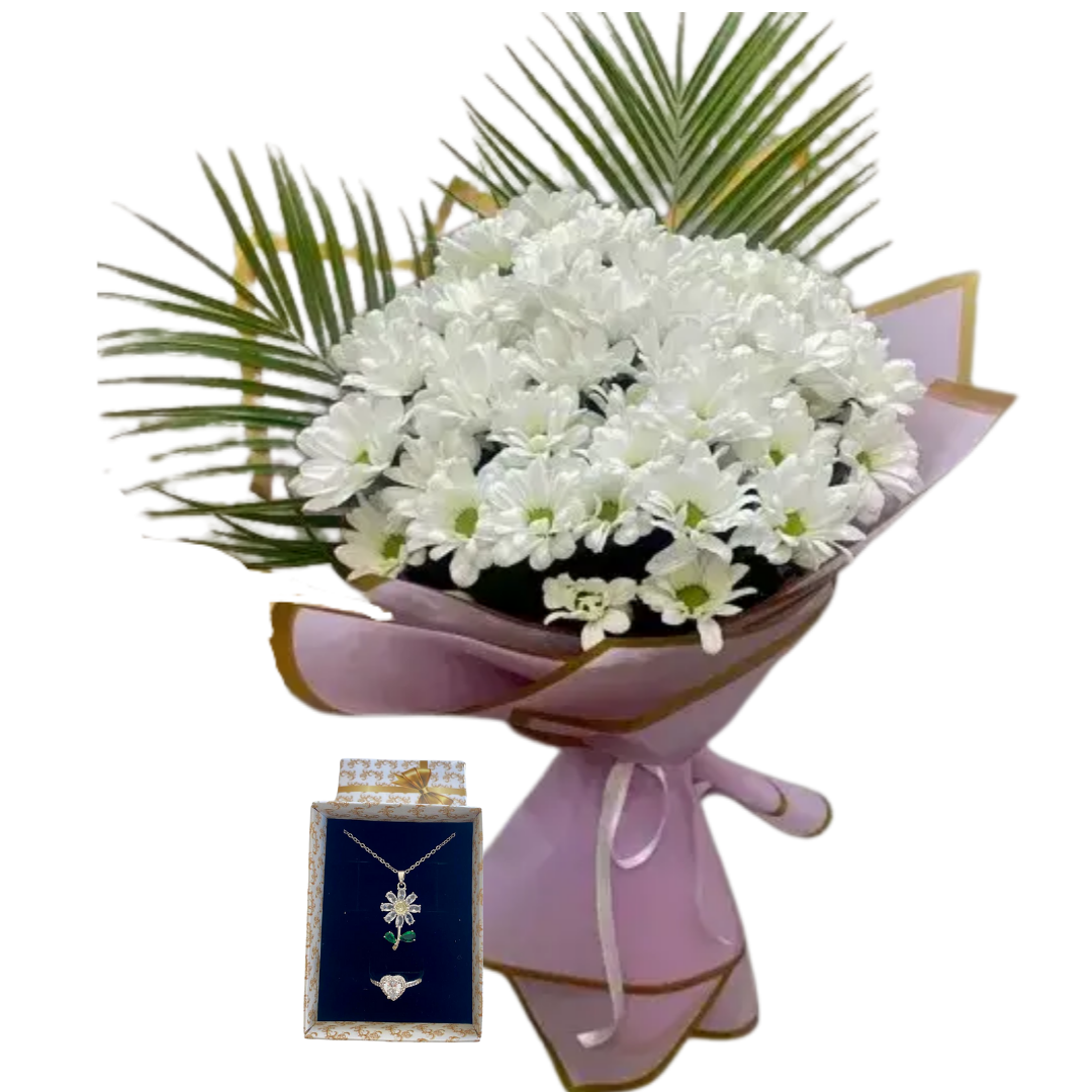 Beyaz Papatya Furyası