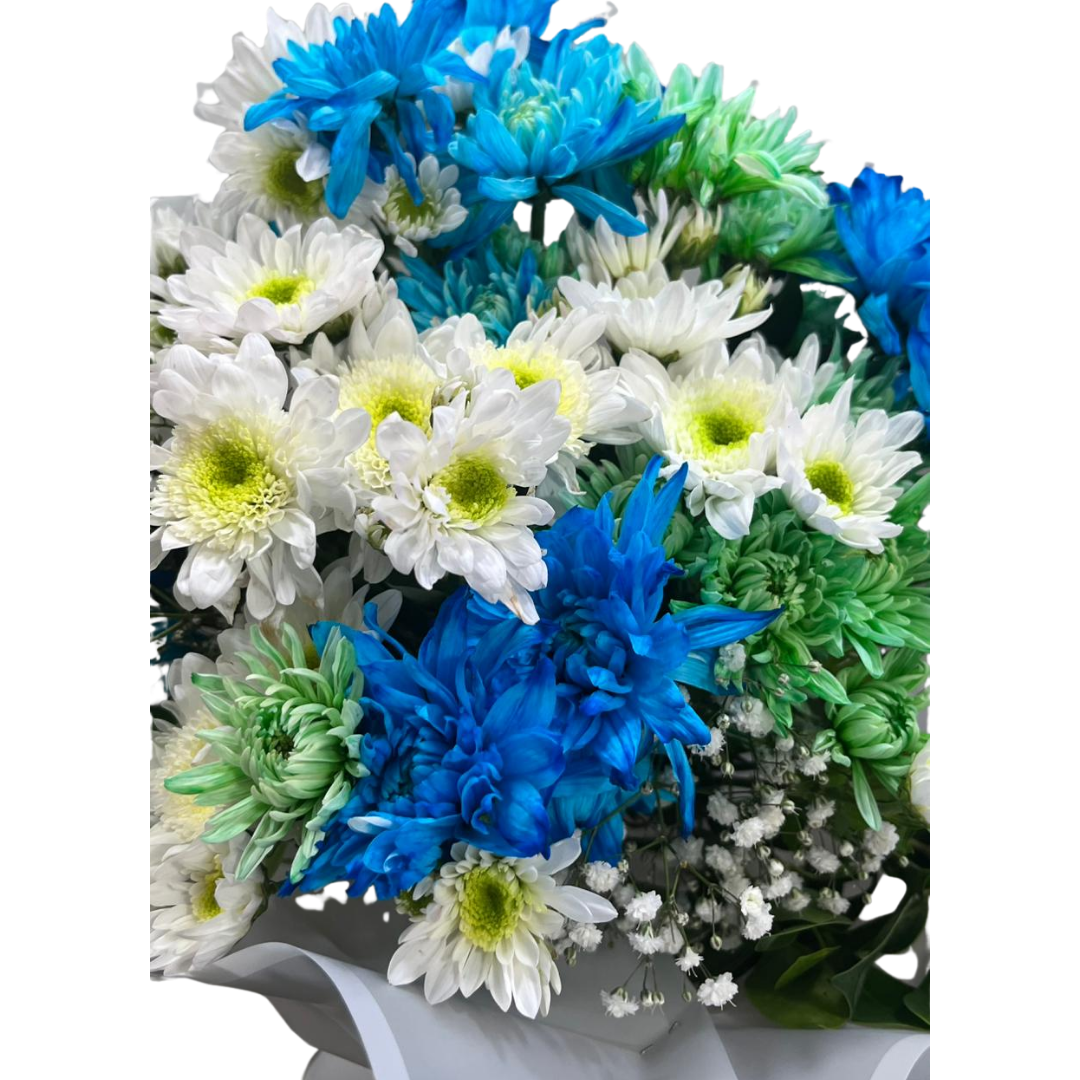 Gökyüzü Işıltısı