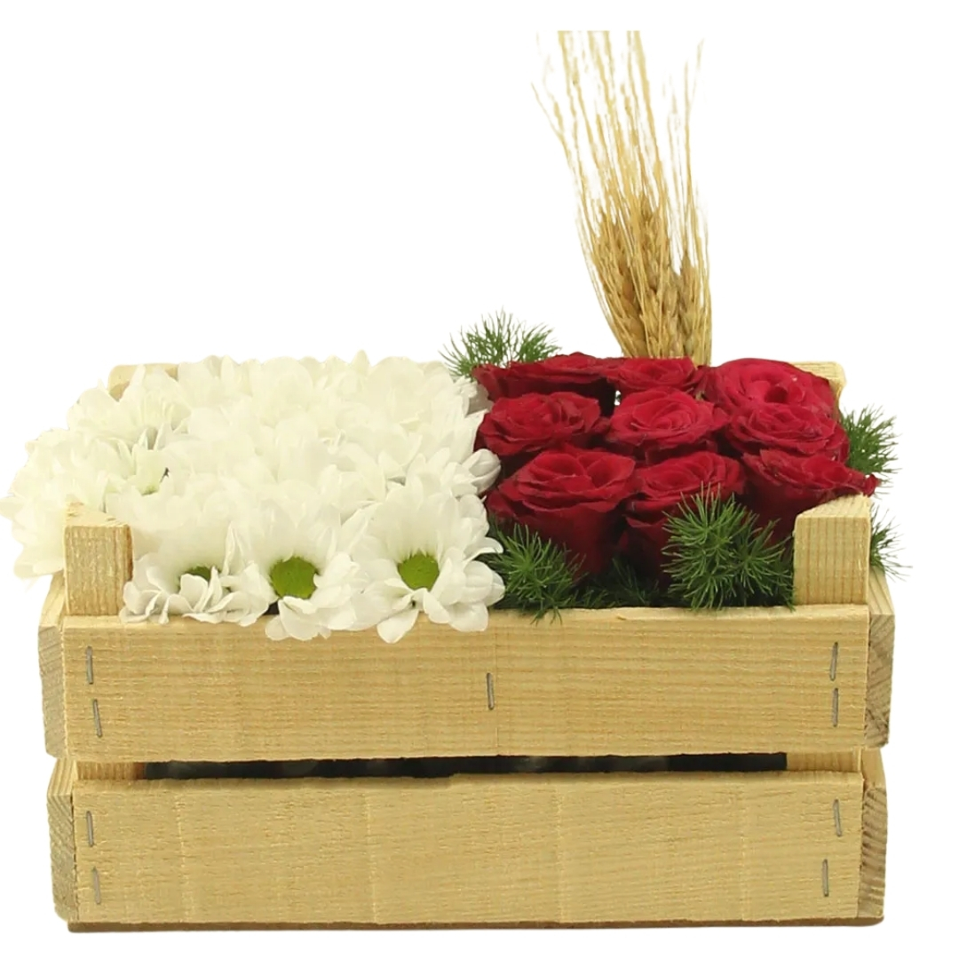 Kırmızının Beyaz Etkisi