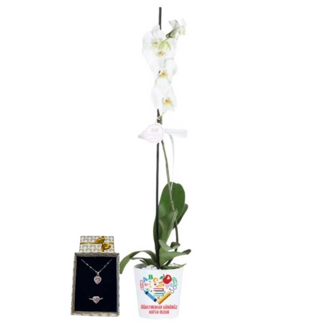 Öğretmenime Zarif Hediye