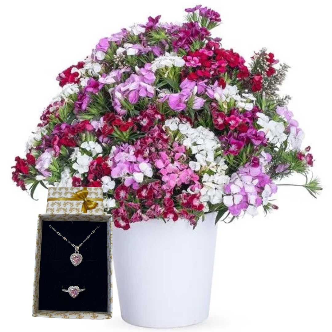 Renkli Hüsnüyusuf Zarafeti