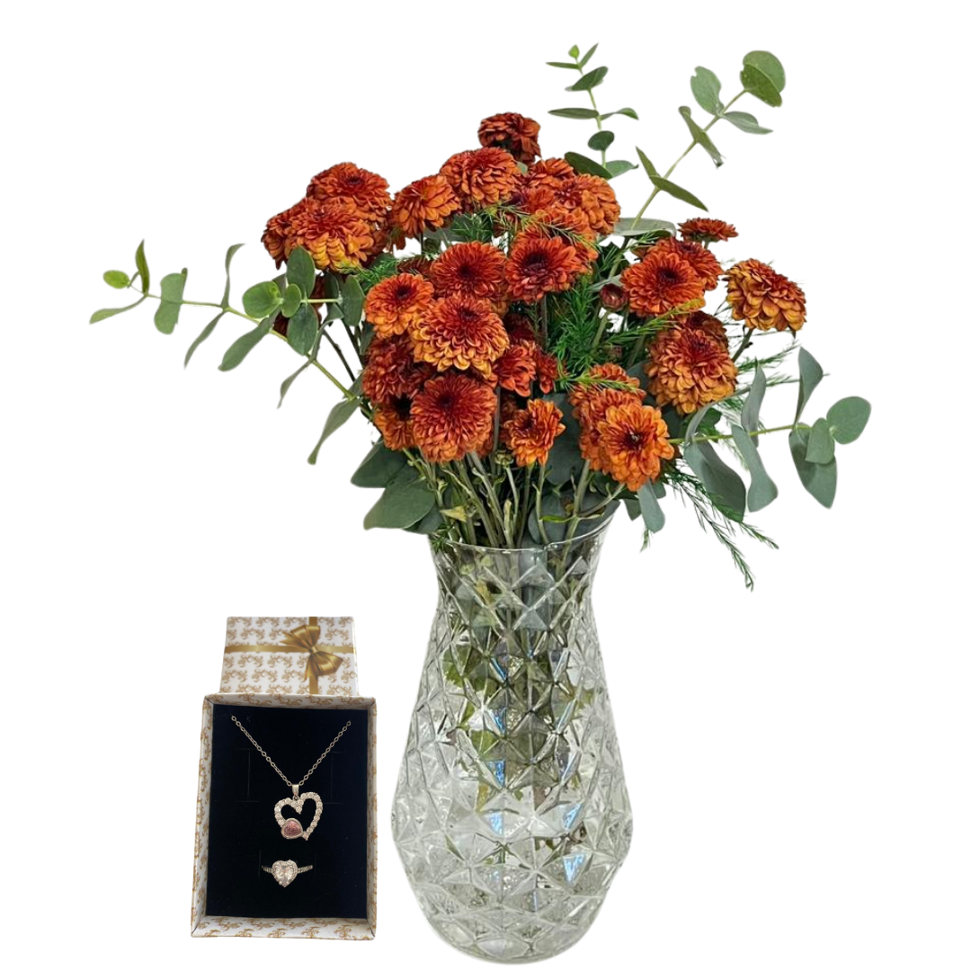 Işıldayan Kasımpatı