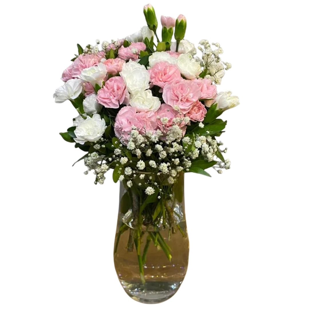 Renki Karanfiller Dünyası