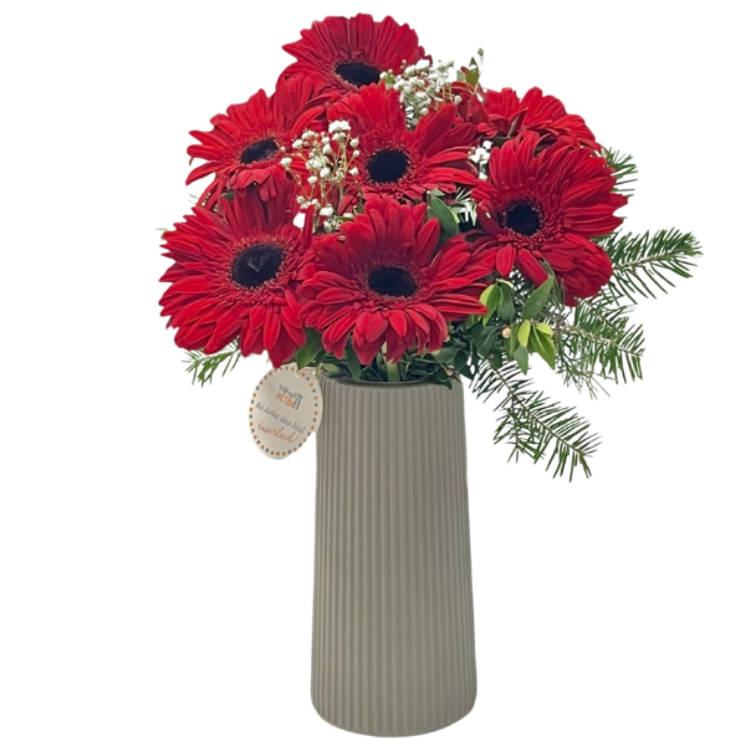 Gerberedan Kırmızı Duruş 