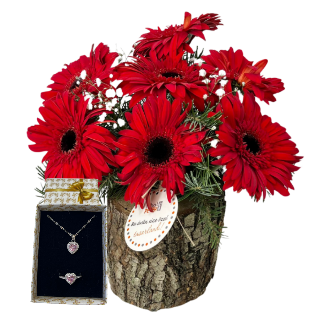 Kırmızının Asaletiyle Pandora