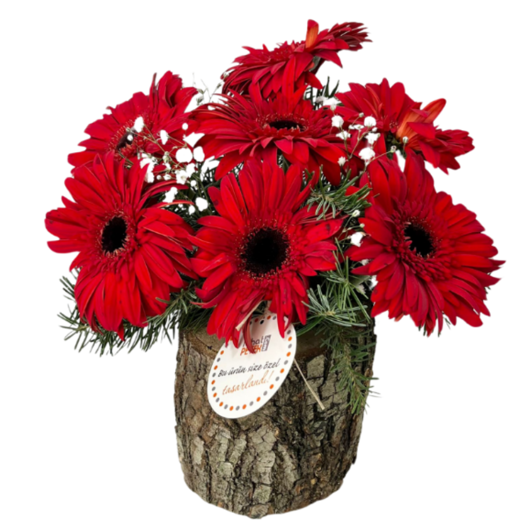 Kırmızının Asaletiyle Pandora