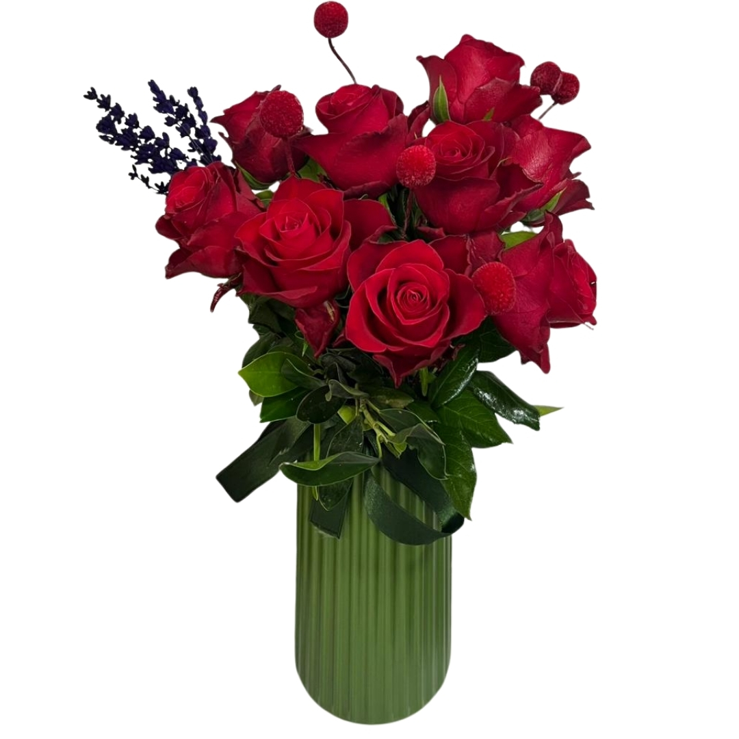 Kırmızının Asilliği