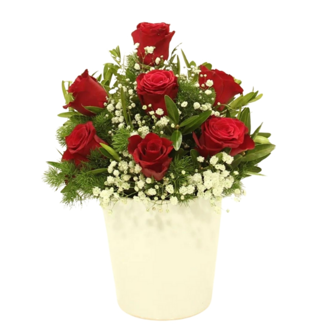 Kırmızı Güzellik