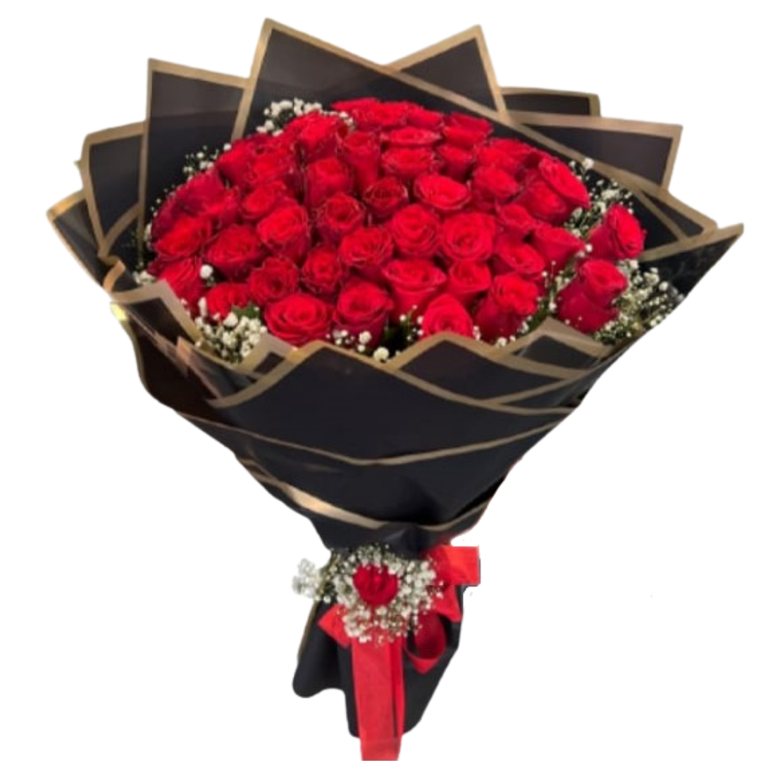 Kırmızı Ahenk Durağı