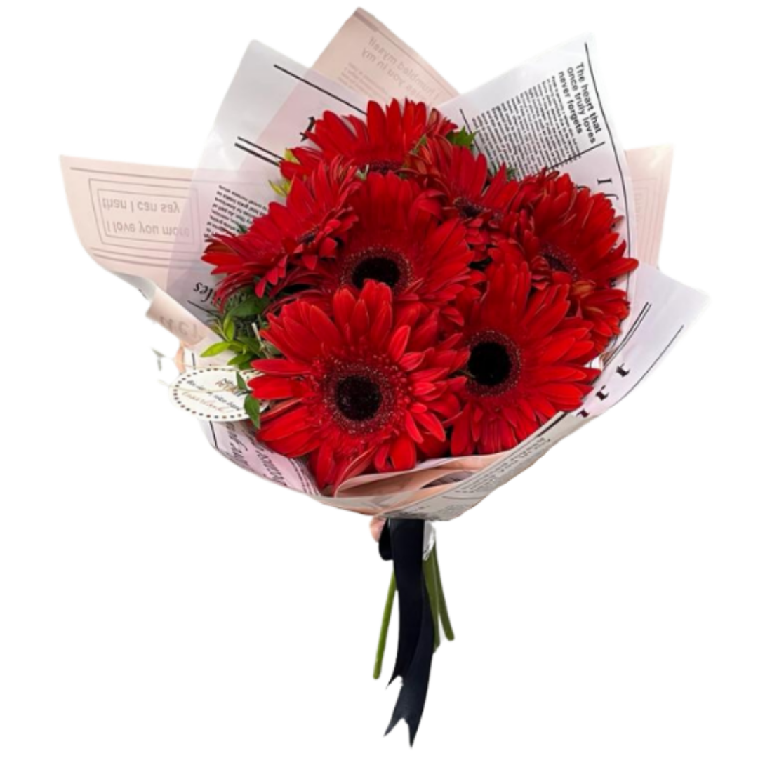 Gerberanın Asil Şansı