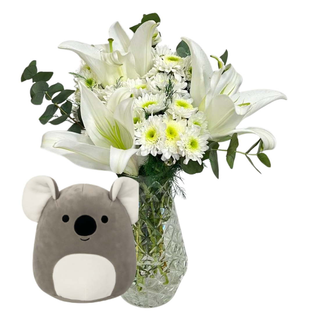 Koalanın Beyazla Uyumu 