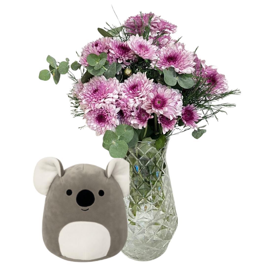 Koala Enerjisiyle Kasımpatı