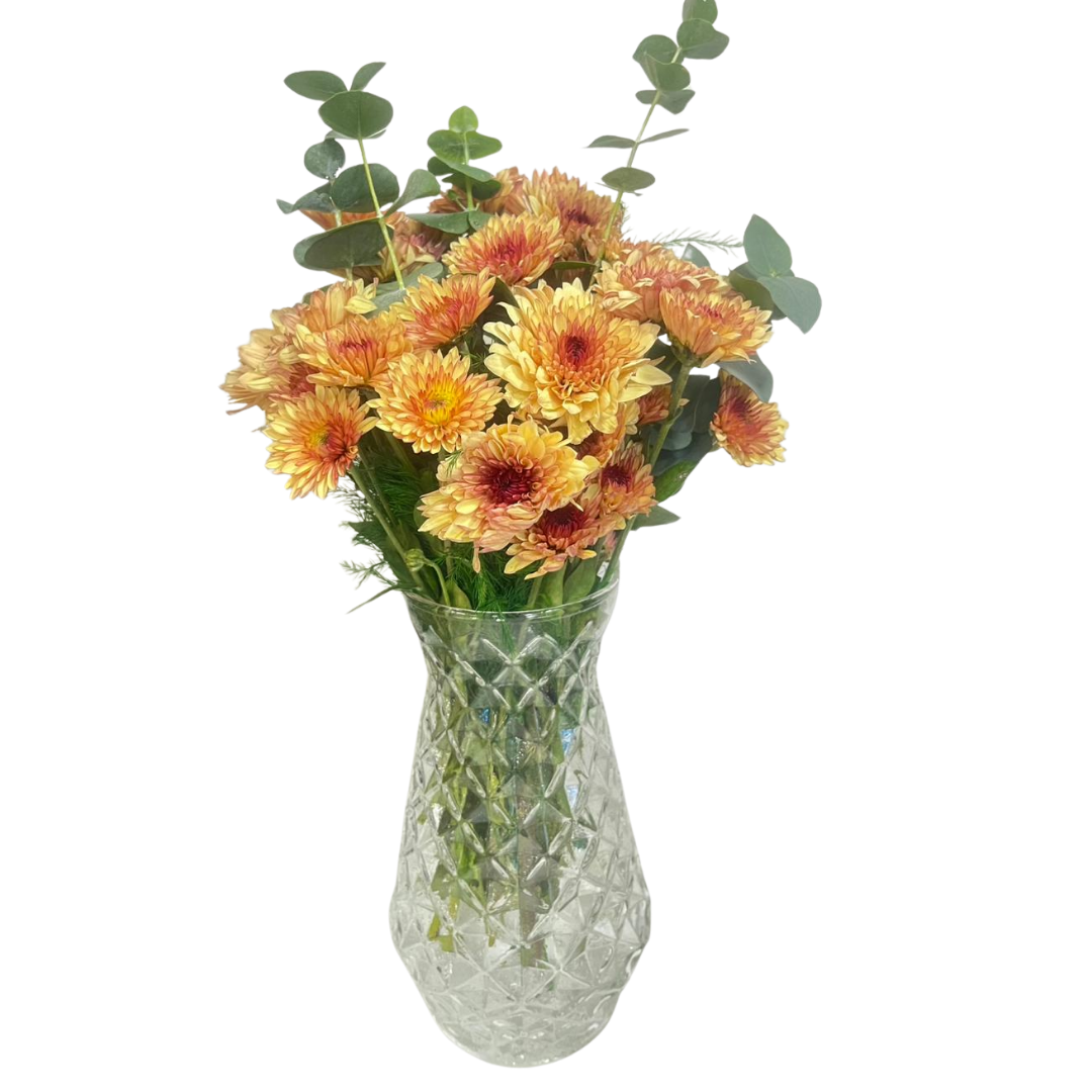 Dinginliğin Enerjisi