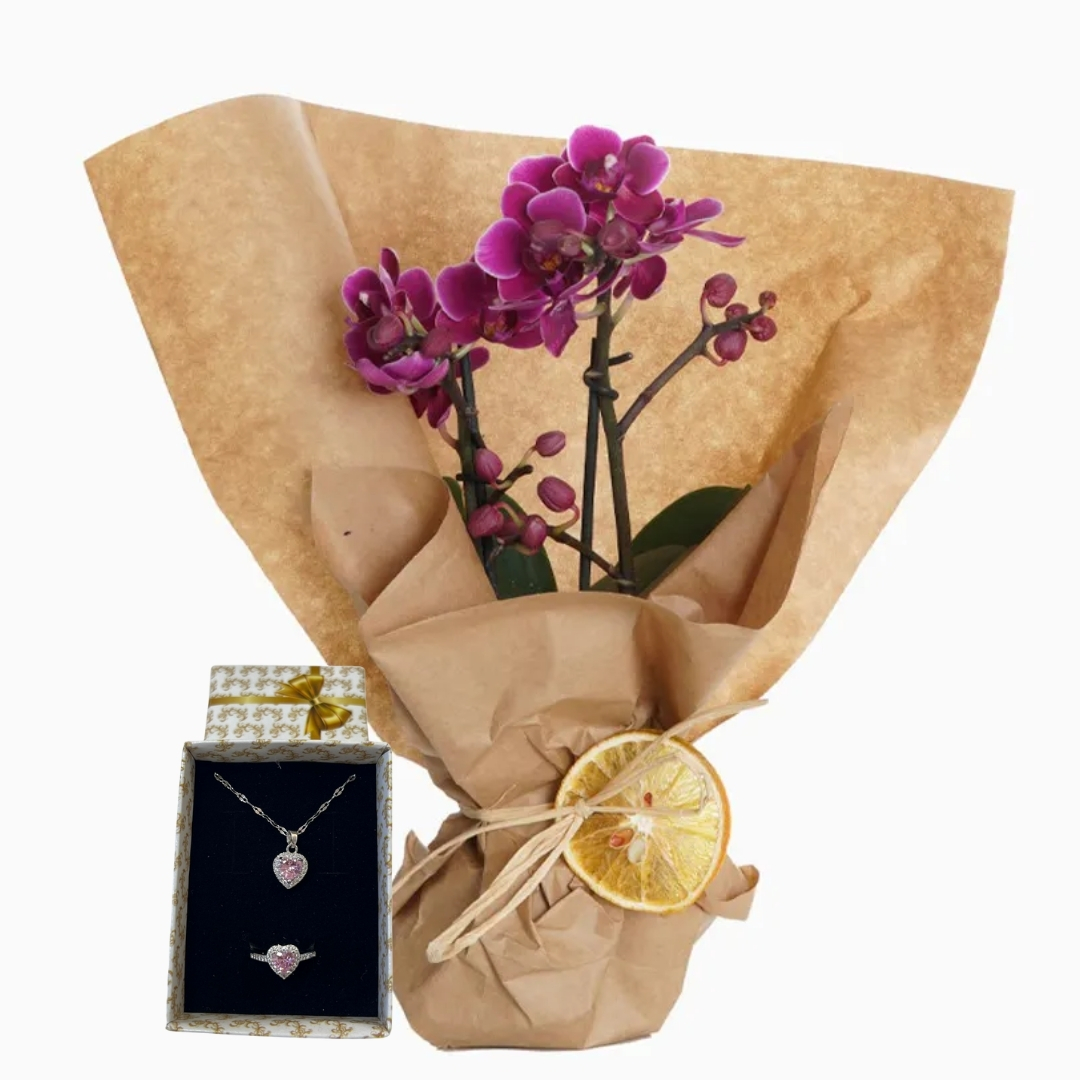 Zarifliğin Pandorası