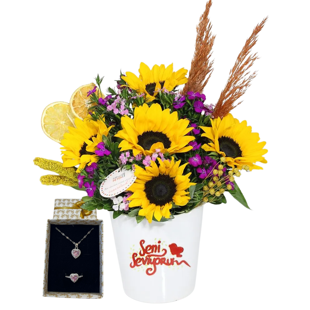 Ay Çiçeği Pandorası